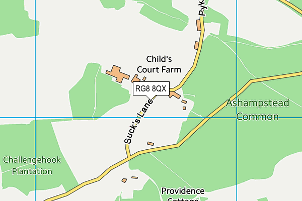 RG8 8QX map - OS VectorMap District (Ordnance Survey)