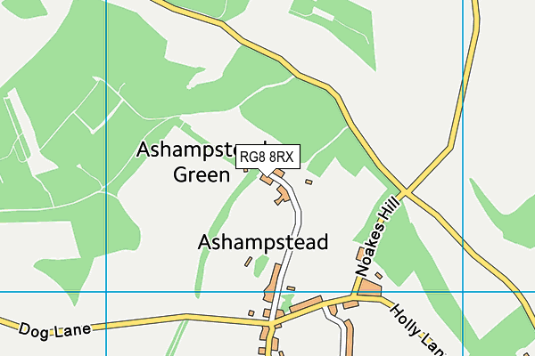 RG8 8RX map - OS VectorMap District (Ordnance Survey)