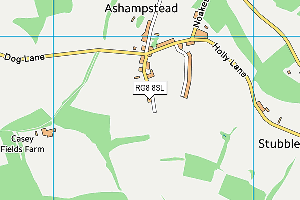 RG8 8SL map - OS VectorMap District (Ordnance Survey)