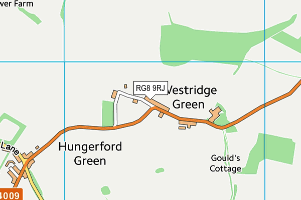 RG8 9RJ map - OS VectorMap District (Ordnance Survey)