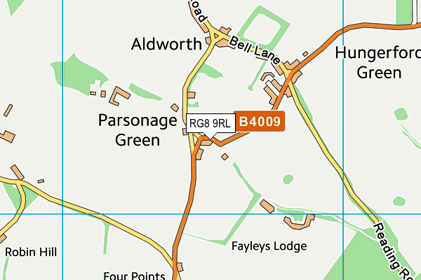 RG8 9RL map - OS VectorMap District (Ordnance Survey)