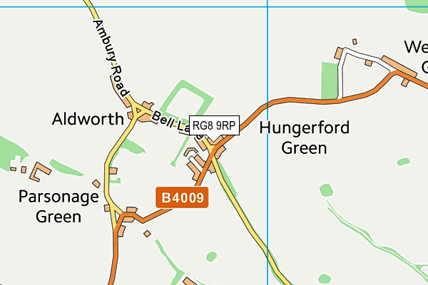 RG8 9RP map - OS VectorMap District (Ordnance Survey)