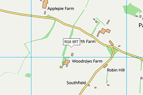 RG8 9RT map - OS VectorMap District (Ordnance Survey)