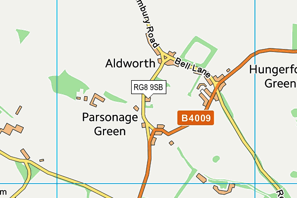 RG8 9SB map - OS VectorMap District (Ordnance Survey)