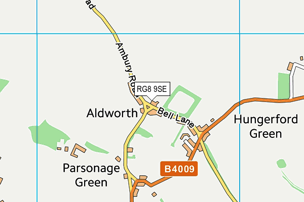 Aldworth Recreation Ground map (RG8 9SE) - OS VectorMap District (Ordnance Survey)