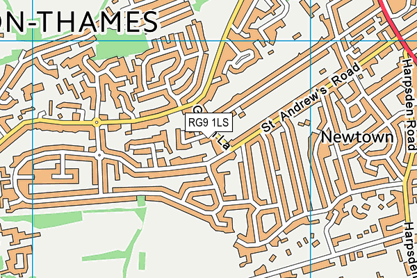 RG9 1LS map - OS VectorMap District (Ordnance Survey)