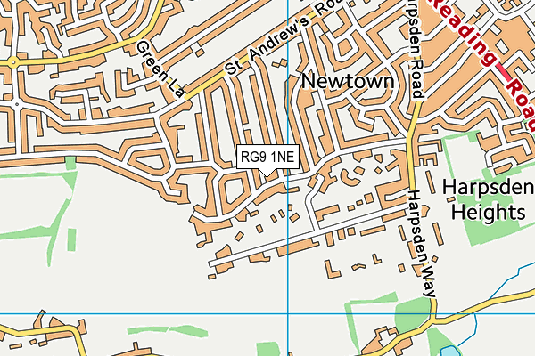RG9 1NE map - OS VectorMap District (Ordnance Survey)