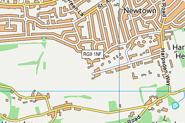 RG9 1NF map - OS VectorMap District (Ordnance Survey)