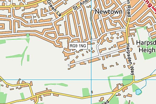 RG9 1NG map - OS VectorMap District (Ordnance Survey)