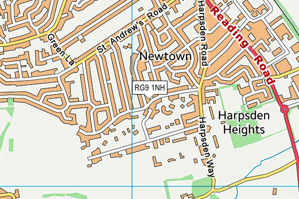 RG9 1NH map - OS VectorMap District (Ordnance Survey)