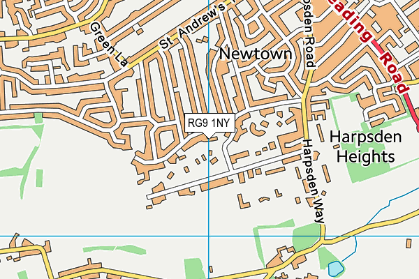 RG9 1NY map - OS VectorMap District (Ordnance Survey)