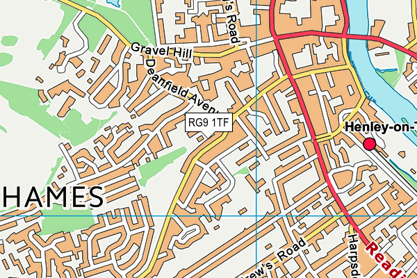 RG9 1TF map - OS VectorMap District (Ordnance Survey)