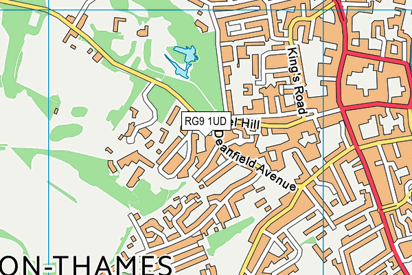 RG9 1UD map - OS VectorMap District (Ordnance Survey)