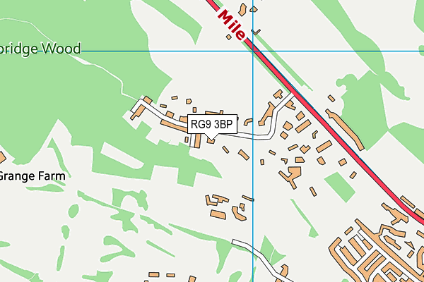RG9 3BP map - OS VectorMap District (Ordnance Survey)