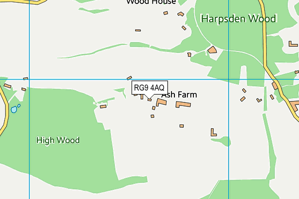 RG9 4AQ map - OS VectorMap District (Ordnance Survey)