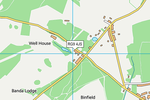 RG9 4JS map - OS VectorMap District (Ordnance Survey)