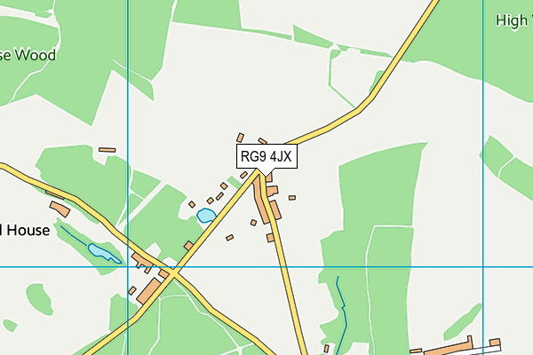 RG9 4JX map - OS VectorMap District (Ordnance Survey)
