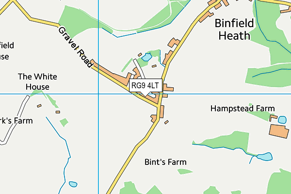 RG9 4LT map - OS VectorMap District (Ordnance Survey)