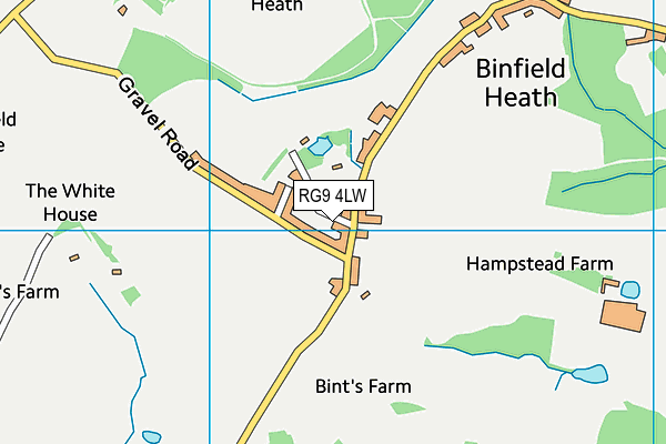 RG9 4LW map - OS VectorMap District (Ordnance Survey)