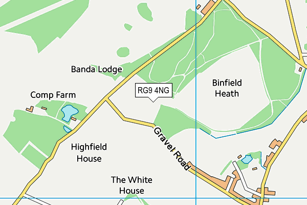Binfield Heath Polo Club map (RG9 4NG) - OS VectorMap District (Ordnance Survey)