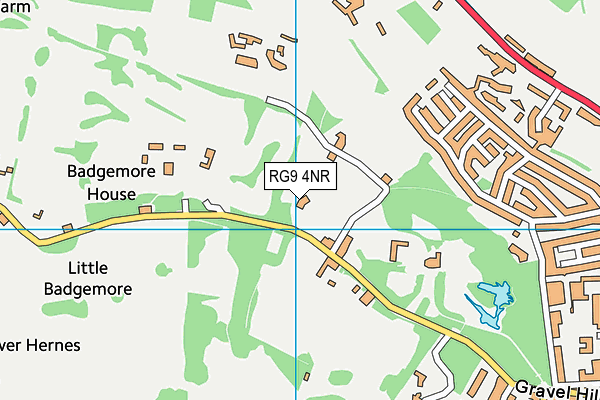 Badgemore Park  map (RG9 4NR) - OS VectorMap District (Ordnance Survey)