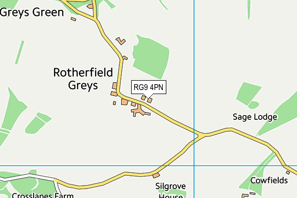 RG9 4PN map - OS VectorMap District (Ordnance Survey)