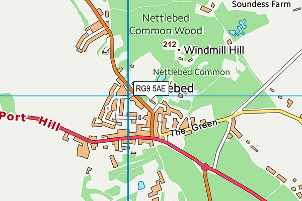 RG9 5AE map - OS VectorMap District (Ordnance Survey)