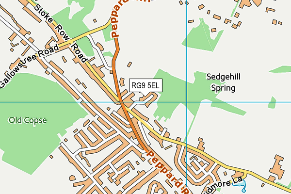 RG9 5EL map - OS VectorMap District (Ordnance Survey)