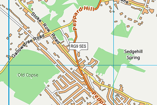 RG9 5ES map - OS VectorMap District (Ordnance Survey)