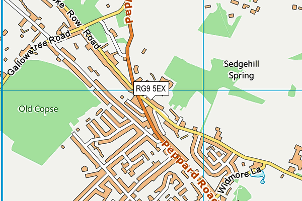 RG9 5EX map - OS VectorMap District (Ordnance Survey)