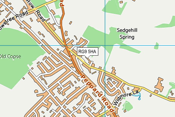 RG9 5HA map - OS VectorMap District (Ordnance Survey)