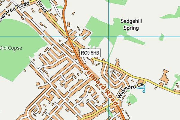 RG9 5HB map - OS VectorMap District (Ordnance Survey)