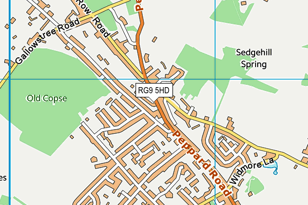 RG9 5HD map - OS VectorMap District (Ordnance Survey)