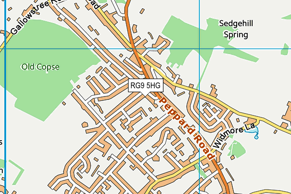 RG9 5HG map - OS VectorMap District (Ordnance Survey)