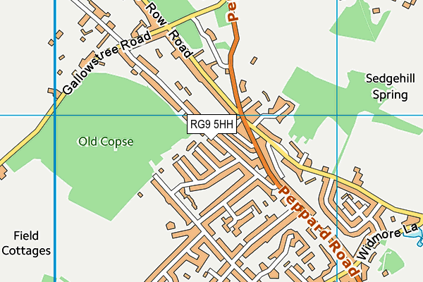 RG9 5HH map - OS VectorMap District (Ordnance Survey)