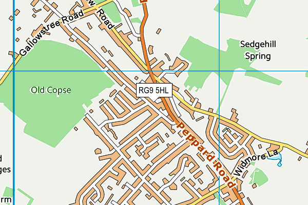 RG9 5HL map - OS VectorMap District (Ordnance Survey)