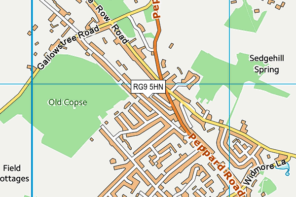 RG9 5HN map - OS VectorMap District (Ordnance Survey)
