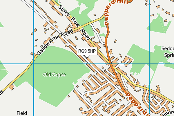RG9 5HP map - OS VectorMap District (Ordnance Survey)