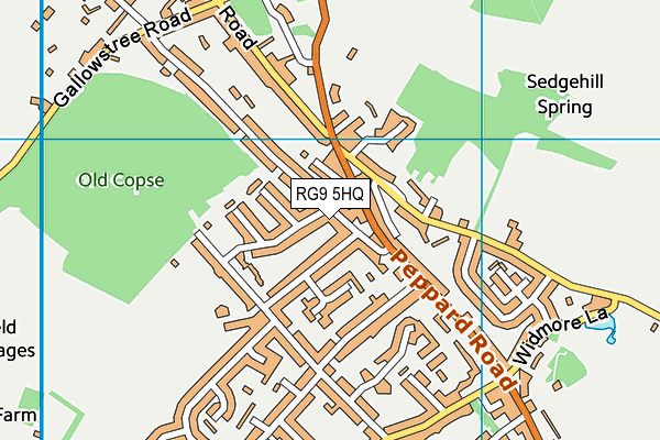 RG9 5HQ map - OS VectorMap District (Ordnance Survey)