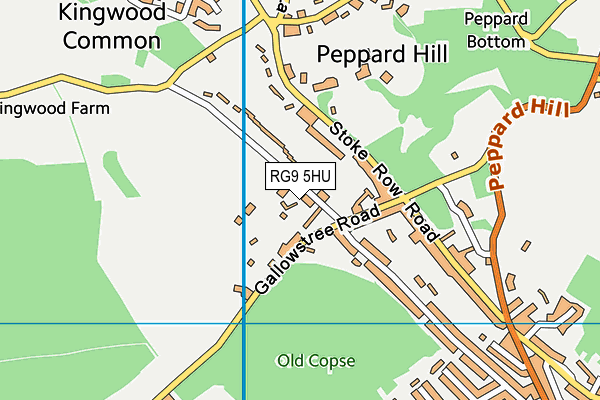 RG9 5HU map - OS VectorMap District (Ordnance Survey)