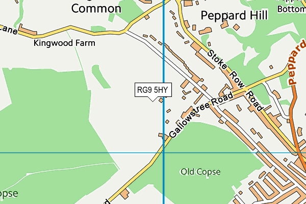 RG9 5HY map - OS VectorMap District (Ordnance Survey)