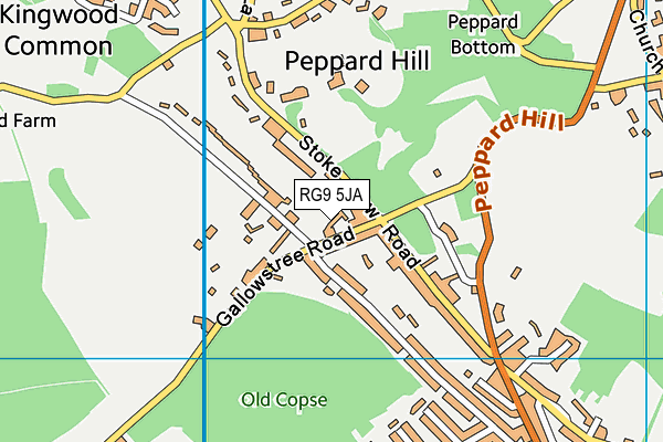 Peppard War Memorial Hall map (RG9 5JA) - OS VectorMap District (Ordnance Survey)