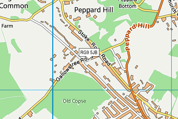RG9 5JB map - OS VectorMap District (Ordnance Survey)