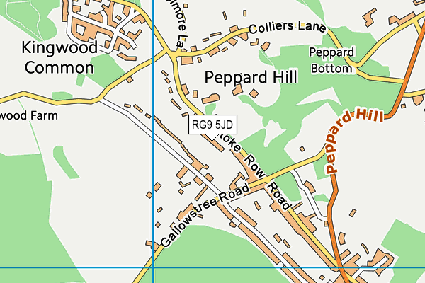 Peppard Common map (RG9 5JD) - OS VectorMap District (Ordnance Survey)