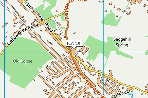 RG9 5JF map - OS VectorMap District (Ordnance Survey)