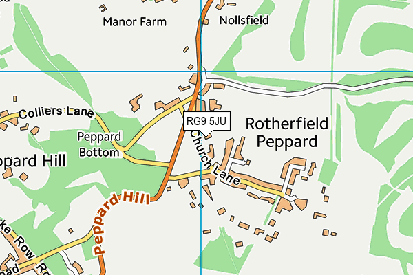 Peppard Church of England Primary School map (RG9 5JU) - OS VectorMap District (Ordnance Survey)
