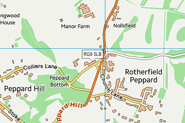 Peppard Lawn Tennis Club map (RG9 5LB) - OS VectorMap District (Ordnance Survey)