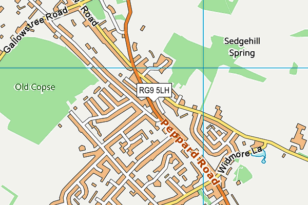 RG9 5LH map - OS VectorMap District (Ordnance Survey)