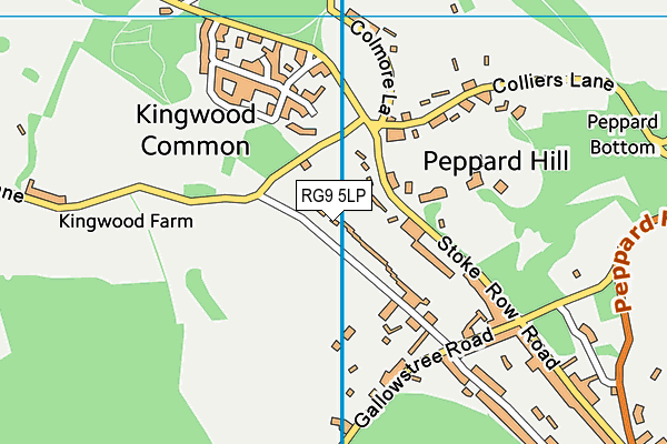 RG9 5LP map - OS VectorMap District (Ordnance Survey)