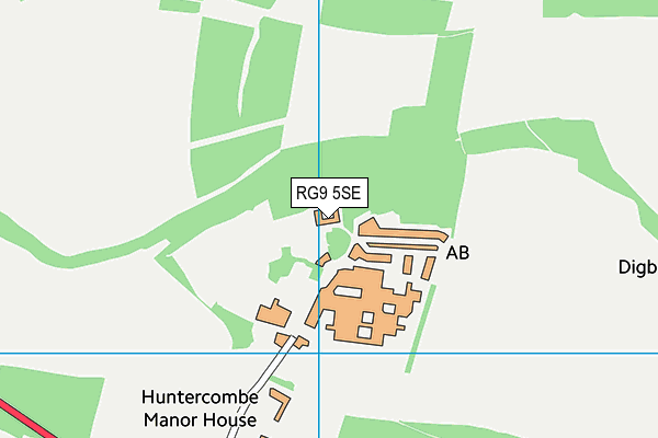 RG9 5SE map - OS VectorMap District (Ordnance Survey)
